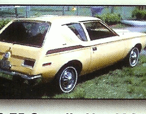 1973-75 Gremlin Non X Stripe