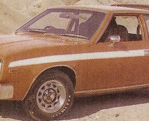 1977 Gremlin X Side Stripes