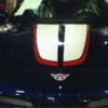 2004 Commerative Corvette stripes