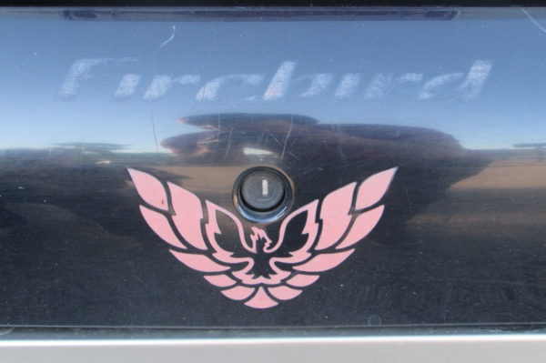 Rear cover with faded out bird and Firebird name.