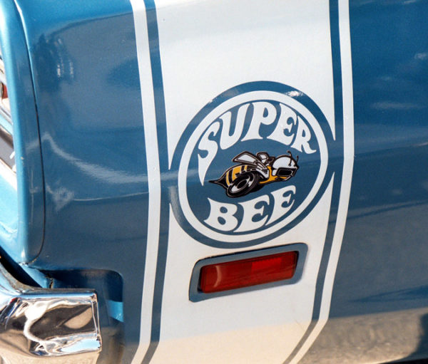 Super Bee Circle with Bee