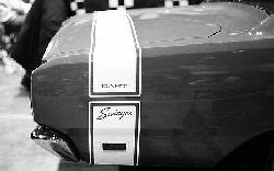 thumbnail image 2 of Graphic Express 1969 Dodge Dart Swinger Bumble Bee Stripe Kit – Licensed OEM Style Vinyl Decal 2 of 6